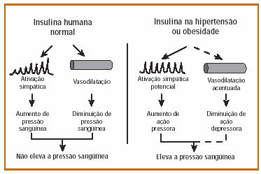 Nova pagina 1